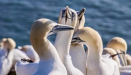 甘肃队乘胜追击，实现反超逆袭